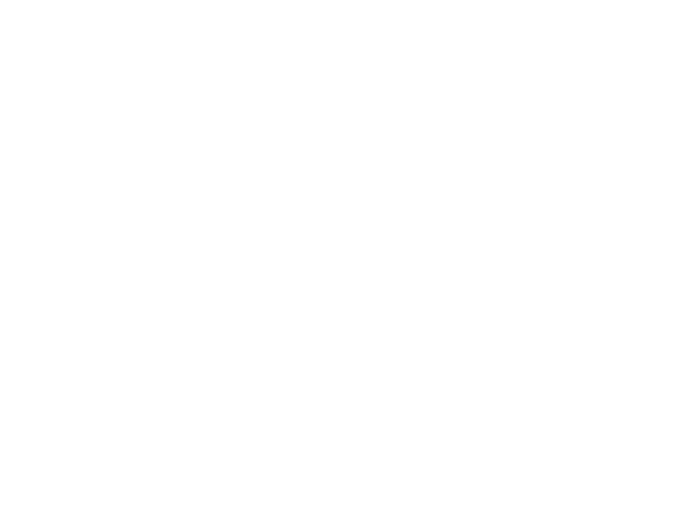 Brand partner 1
