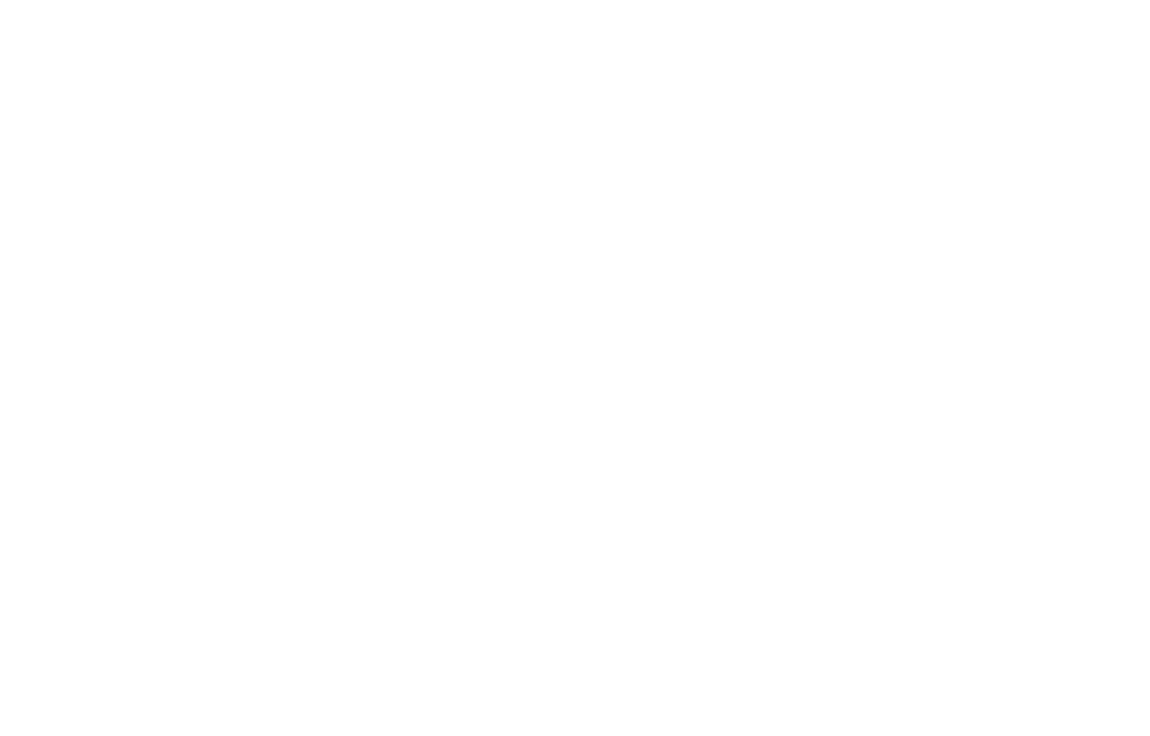 Brand partner 2