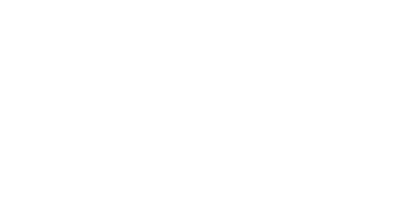 Brand partner 4