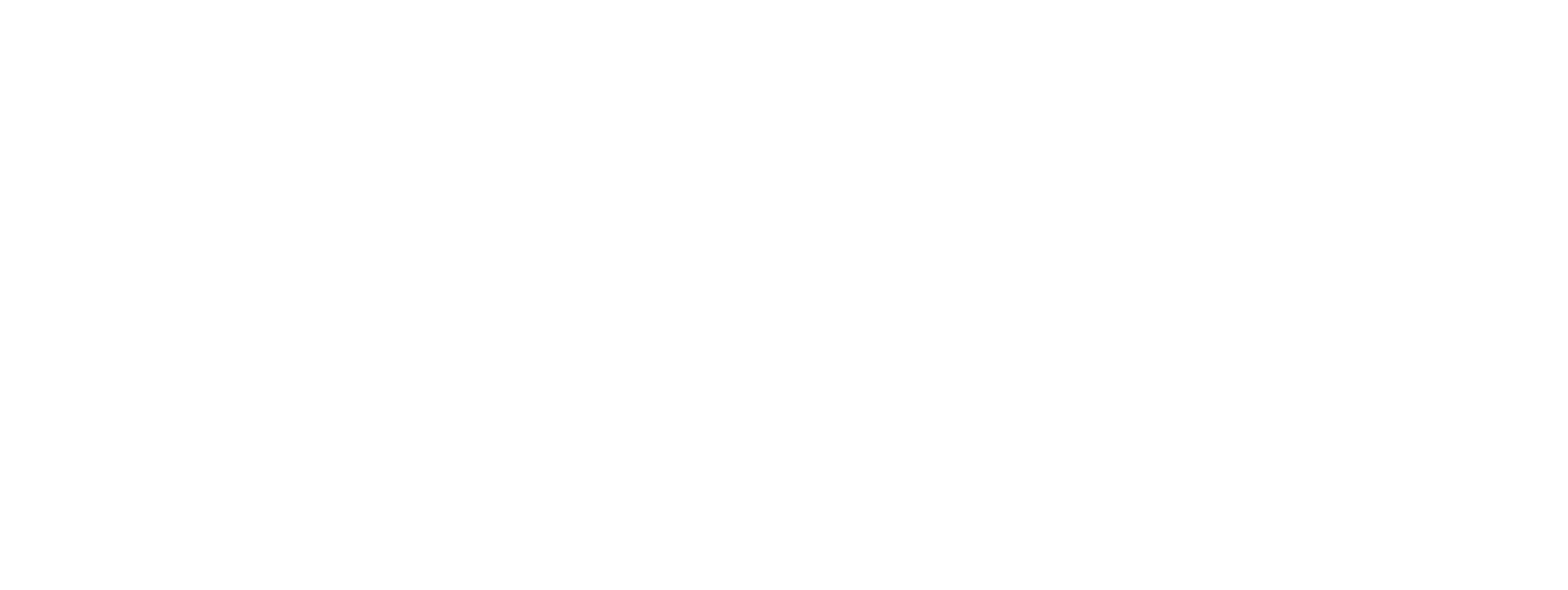 Brand partner 5