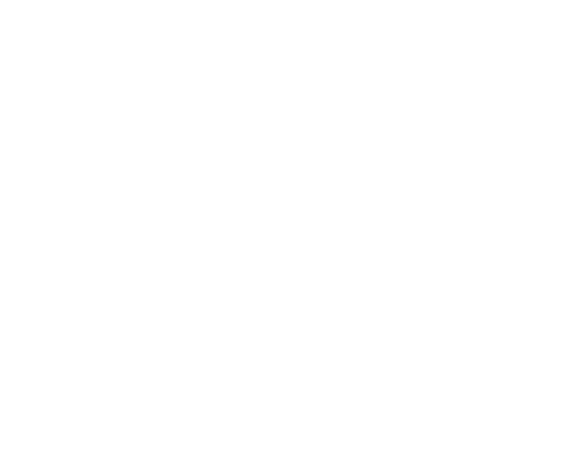 Brand partner 10