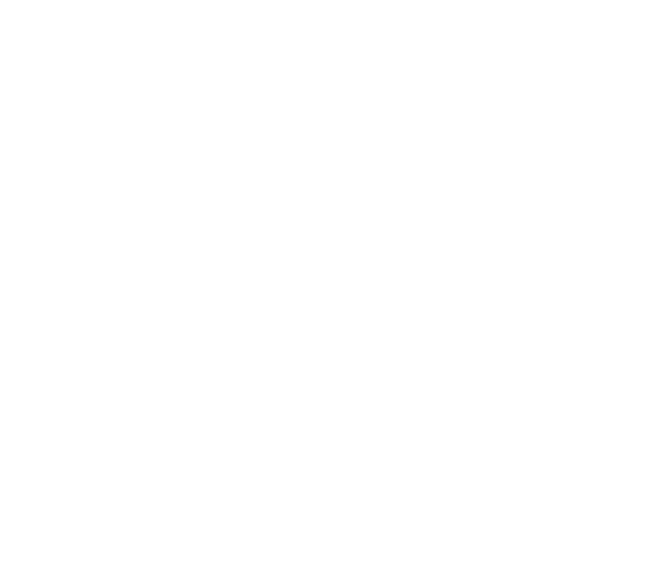 Brand partner 15