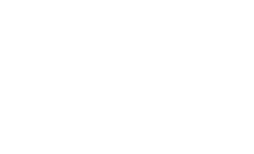 Brand partner 16